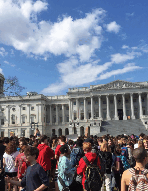 students gather in front of the Capitol for a massive protest
