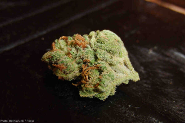 A picture of a weed nugget
