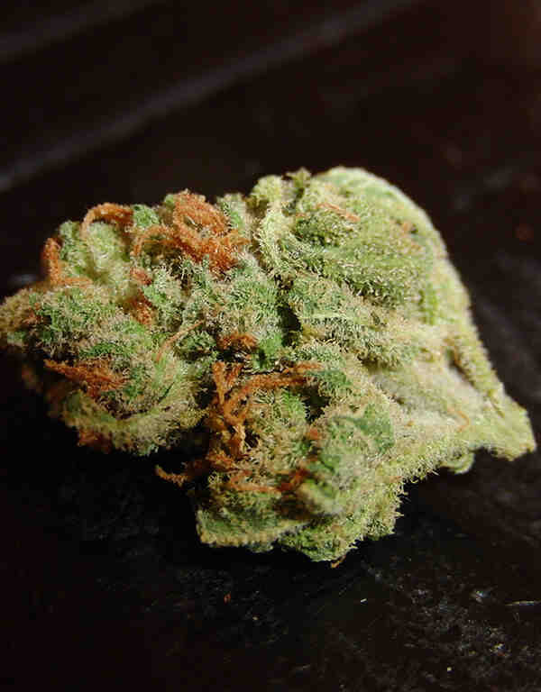 A picture of a weed nugget