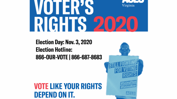 graphic that says "Voter's Rights 2020"