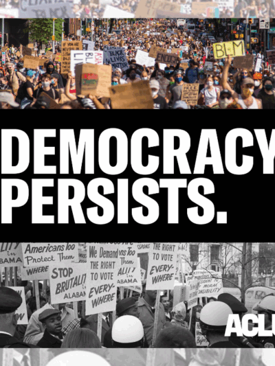 graphic with a text "democracy persists"