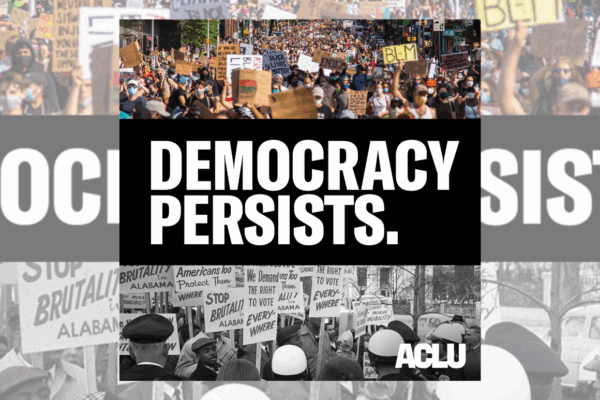graphic with a text "democracy persists"