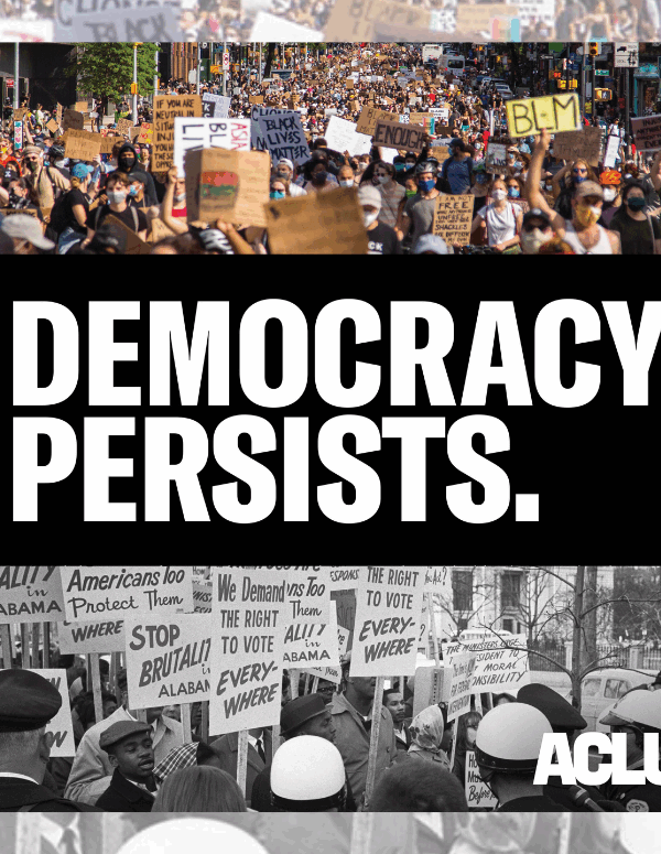 graphic with a text "democracy persists"