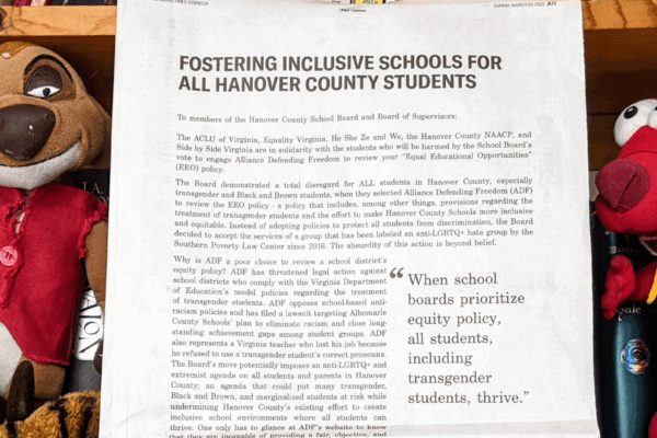 Fostering inclusive schools for all Hanover County students," with a bookshelf in the background and  stuffed animals to the right and left of the newspapers.