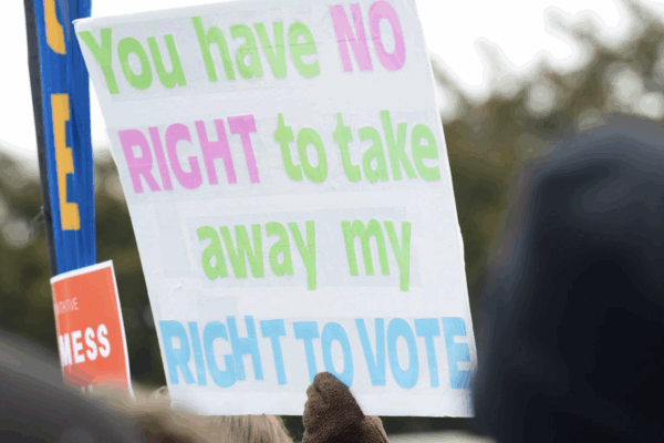 Right to Vote Protest Sign