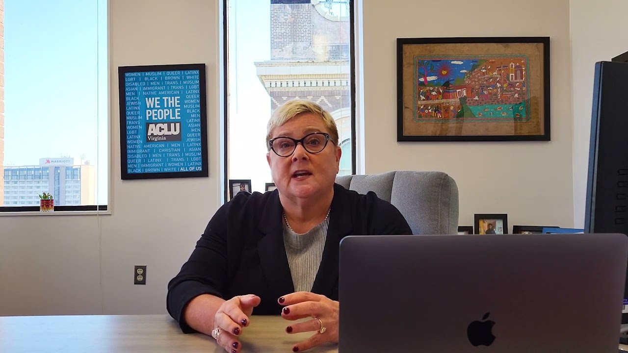 ACLU-VA Annual Report: Introduction by Mary Bauer