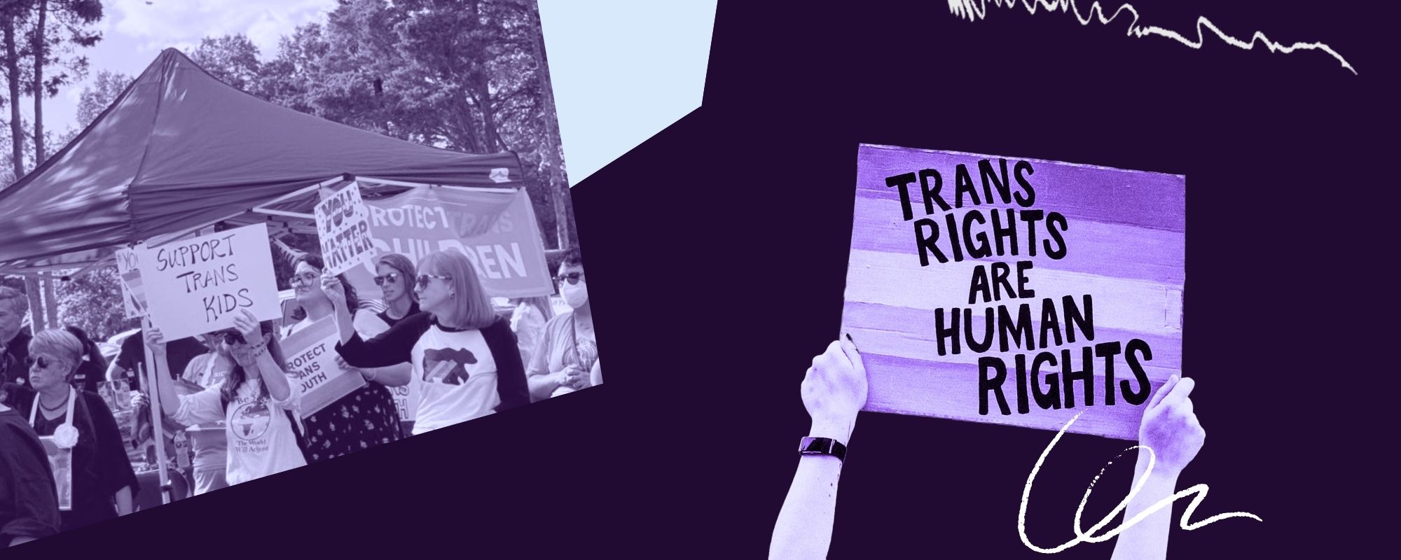 graphic with protest signs like "trans rights are human rights"