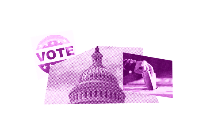 Voting and democracy themes.