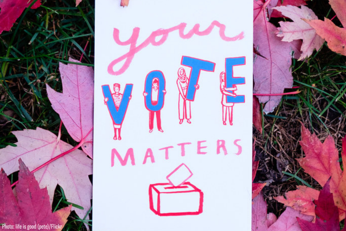 A protest sign that says "Your Vote Matters" against a background of red maple leaves