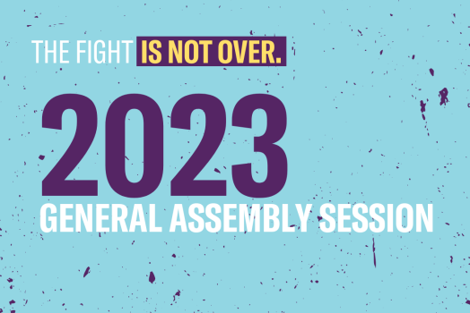 Graphic with azure blue background and the following text: "The fight is not over. 2023 general assembly session"