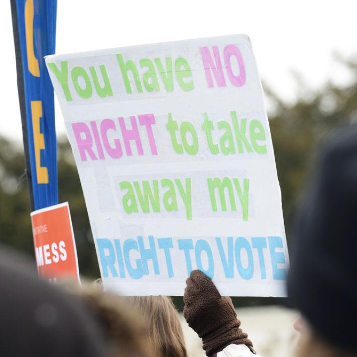 Right to Vote Protest Sign