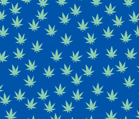background photo of marijuana leaves