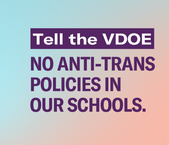 Gradient background from azure blue to pink with the following text: Tell the VDOE: No Anti-Trans Policies in Our Schools